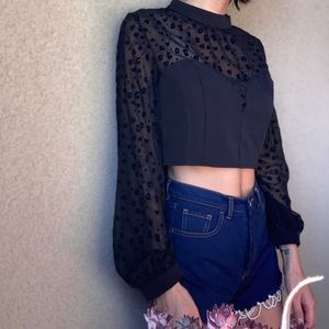 Leopard print sheer long sleeve crop top